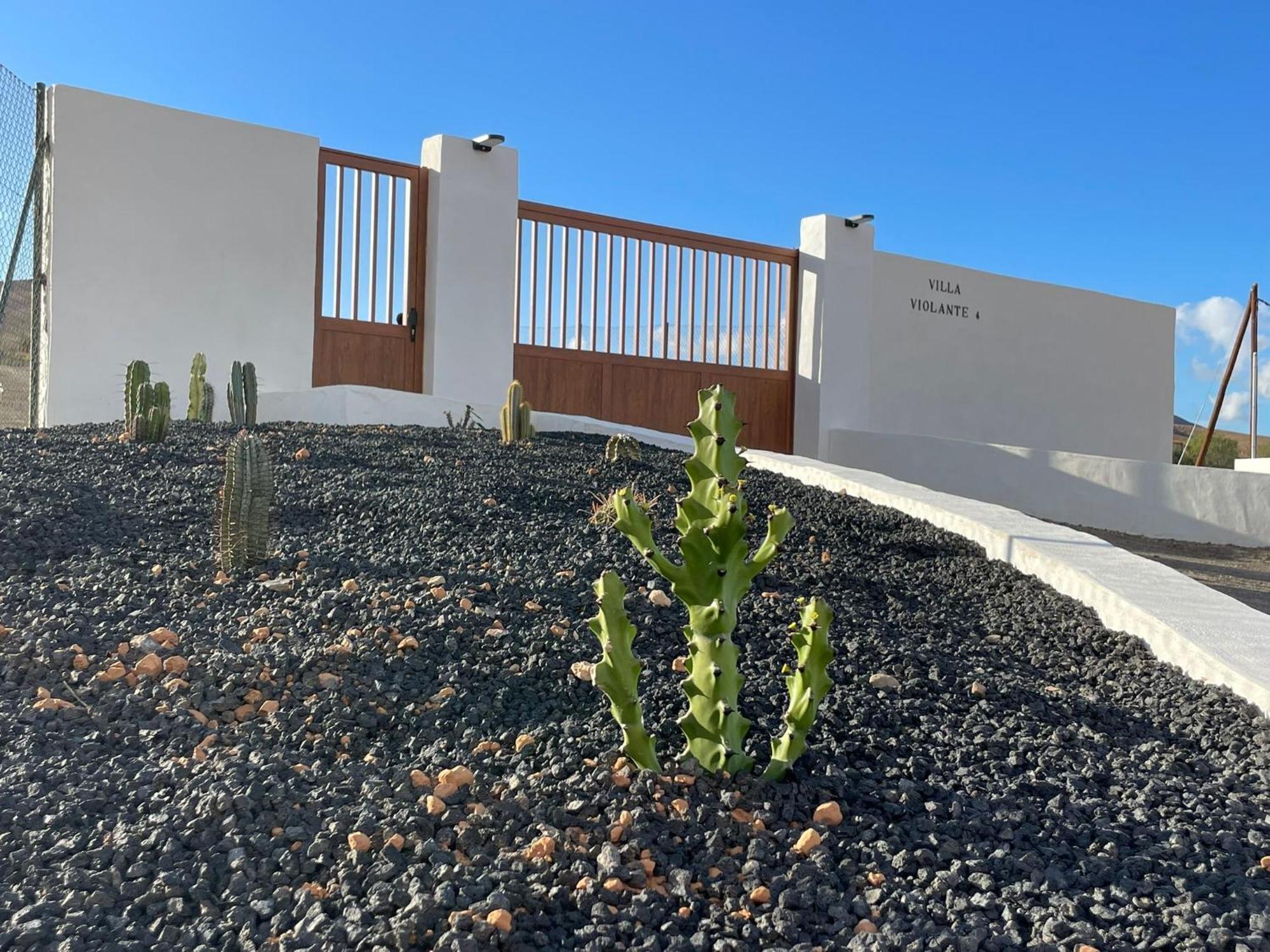 Apartamentos Violante Tuineje ภายนอก รูปภาพ